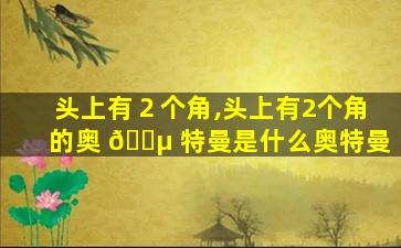 头上有２个角,头上有2个角的奥 🌵 特曼是什么奥特曼